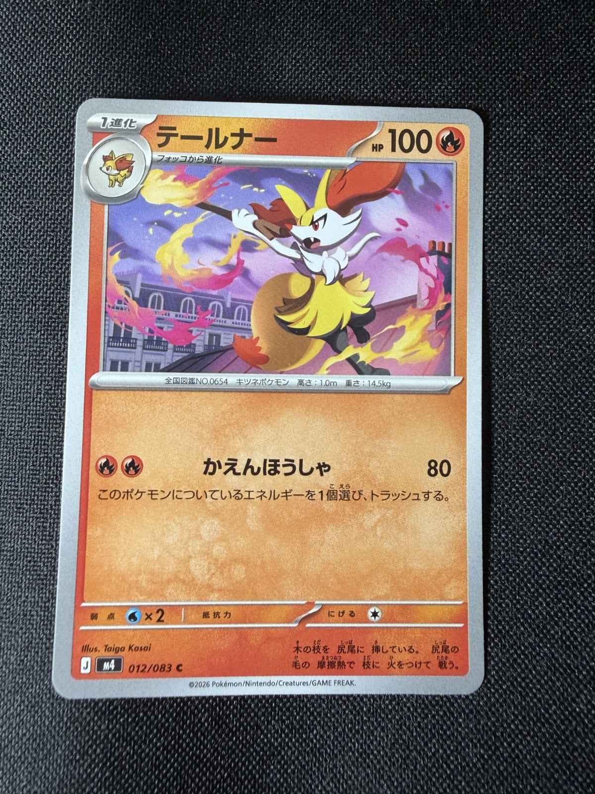 Braixen Common M4: Ninja Spinner 012/083 NM